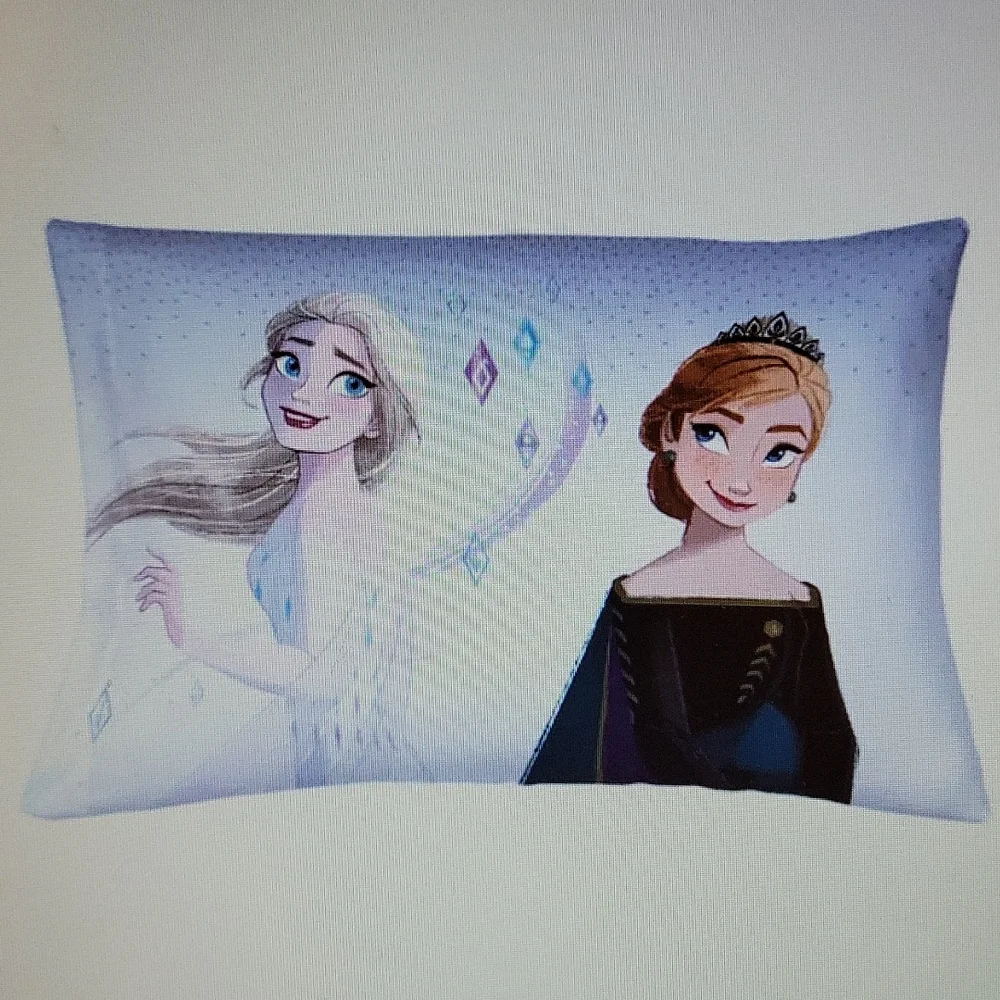 Disney Frozen Elsa Anna super soft twin microfiber 3 piece sheet set 170 TC New…
